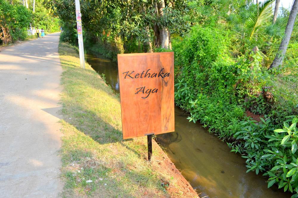 Kethaka Aga Hotel Tissamaharama Exterior photo
